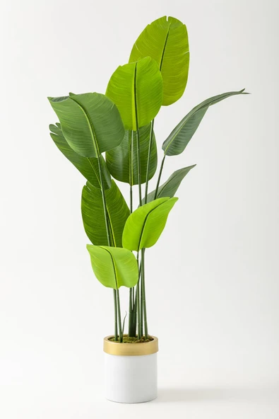 Güleç Yapay Çiçek Yapay Starliçe Ağacı 160 Cm Geniş Yapraklı Beyaz Gold Saksı ürün görseli 1