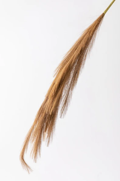 Güleç Yapay Çiçek Yapay Pampas Çiçeği 100 Cm Tek Dal Kahverengi - 4