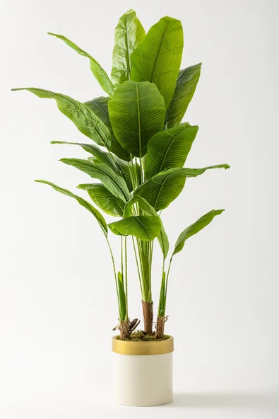 Güleç Yapay Çiçek Yapay Muz Ağacı 180 Cm Krem Gold Metal Saksı ürün görseli