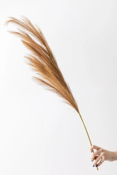 Güleç Yapay Çiçek Yapay Pampas Çiçeği 100 Cm Tek Dal Kahverengi