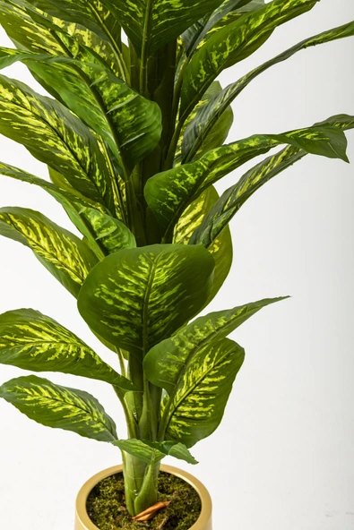 Güleç Yapay Çiçek Yapay Difenbahya Ağacı 160 Cm Beyaz Gold Saksı - Resim 3