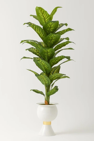 Güleç Yapay Çiçek Yapay Difenbahya Ağacı 180 Cm Beyaz Balon Saksı ürün görseli