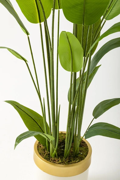 Güleç Yapay Çiçek Yapay Starliçe Ağacı 200 Cm Krem Gold Metal Saksı - 4