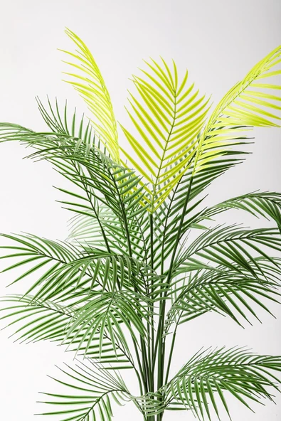 Güleç Yapay Çiçek Yapay Areka Palmiyesi 130 Cm Küre Plastik Saksı - Resim 5