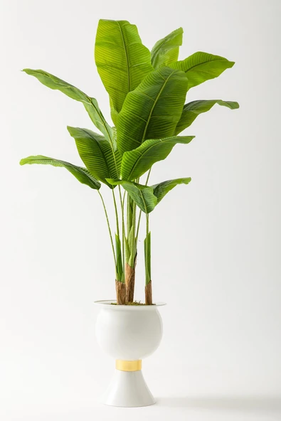 Yapay Muz Ağacı 200 Cm 17 Yaprak Balon Saksı ürün görseli