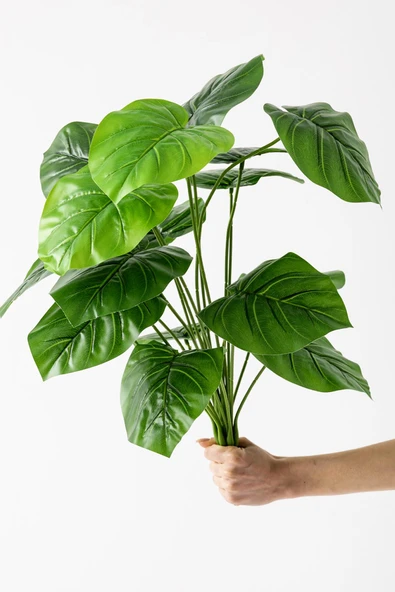 Güleç Yapay Çiçek Yapay Salon Köşe Çiçeği Devetabanı Yeşil 65 Cm Saksısız ürün görseli