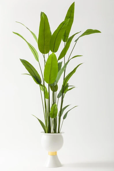 Güleç Yapay Çiçek Yapay Starliçe Ağacı 220 Cm 24 Yaprak Beyaz Balon Saksı ürün görseli 1