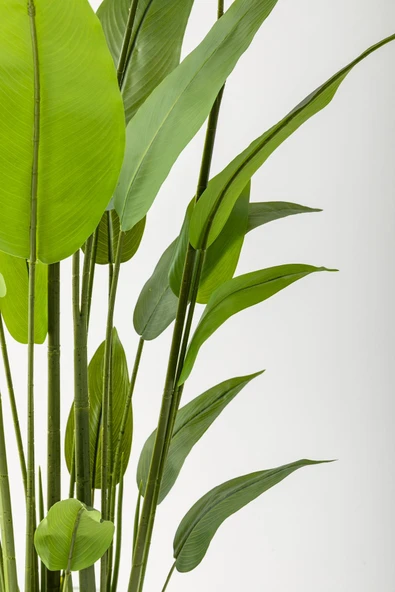 Güleç Yapay Çiçek Yapay Starliçe Ağacı 220 Cm 24 Yaprak Beyaz Balon Saksı - Resim 3