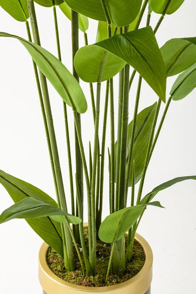 Güleç Yapay Çiçek Yapay Starliçe Ağacı 160 Cm Kahverengi Gold Saksı - 3