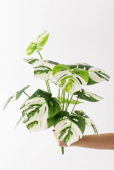 Güleç Yapay Çiçek Yapay Salon Köşe Çiçeği Devetabanı Beyaz 65 Cm Saksısız ürün görseli