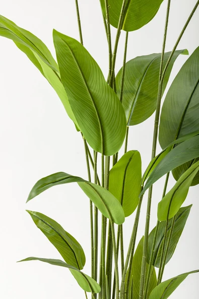 Güleç Yapay Çiçek Yapay Starliçe Ağacı 220 Cm 24 Yaprak Krem Balon Saksı - Resim 3