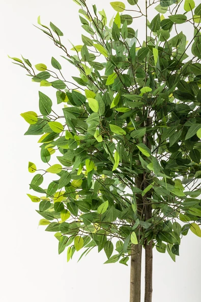 Güleç Yapay Çiçek Yapay Benjamin Ağacı 160 Cm Kahverengi Gold Metal Saksı - 2