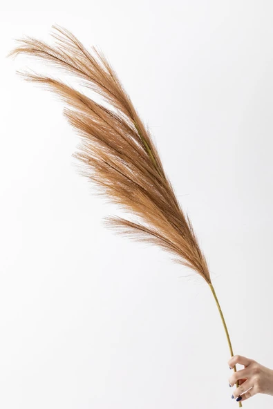 Güleç Yapay Çiçek Yapay Pampas Çiçeği 100 Cm Tek Dal Kahverengi - 3
