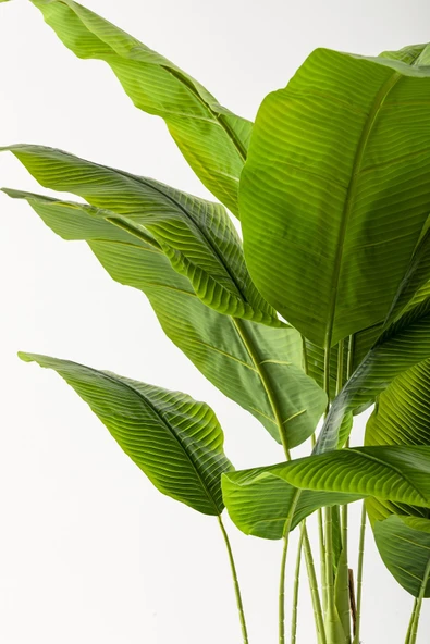 Yapay Muz Ağacı 200 Cm 17 Yaprak Balon Saksı - Resim 5