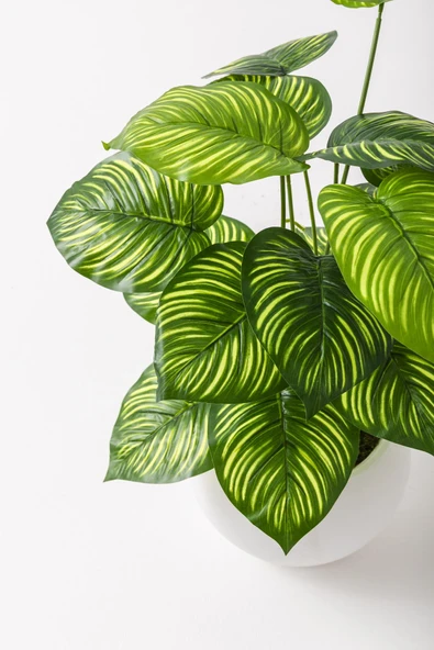 Güleç Yapay Çiçek Yapay Salon Köşe Çiçeği Devetabanı Yeşil Sarı 65 Cm Küre Plastik - Resim 4