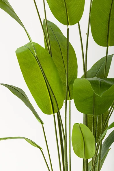 Güleç Yapay Çiçek Yapay Starliçe Ağacı 200 Cm Krem Gold Metal Saksı - 2