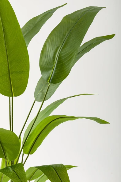 Güleç Yapay Çiçek Yapay Starliçe Ağacı 160 Cm Kahverengi Gold Saksı - 2