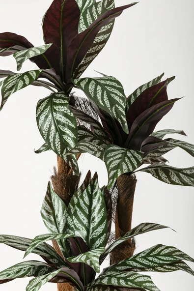 Güleç Yapay Çiçek Yapay Kılıç Ağacı 150 Cm 54 Dal Mürdüm Beyaz - 3