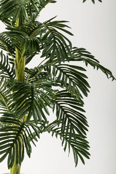 Güleç Yapay Çiçek Yapay Ağaç Areka 180 Cm 32 Yaprak Beyaz Balon Saksı - 3