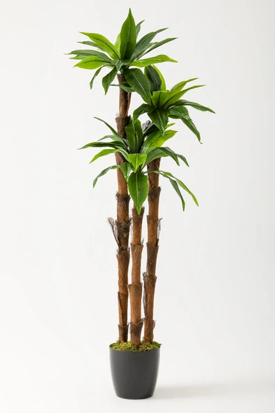 Güleç Yapay Çiçek Yapay Kılıç Ağacı 150 Cm 54 Dal Yeşil ürün görseli