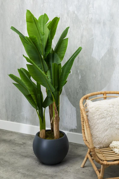 Güleç Yapay Çiçek Yapay Muz Ağacı 160 Cm Küre Plastik Saksı - Resim 2