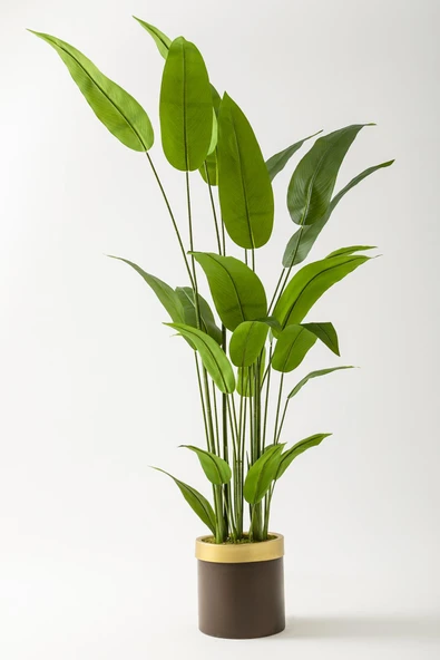 Güleç Yapay Çiçek Yapay Starliçe Ağacı 160 Cm Kahverengi Gold Saksı