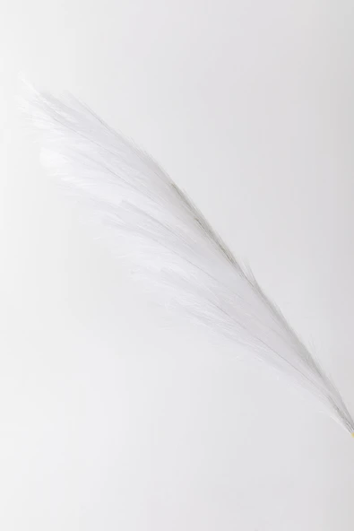 Güleç Yapay Çiçek Yapay Pampas Çiçeği 100 Cm Tek Dal Beyaz - Resim 3