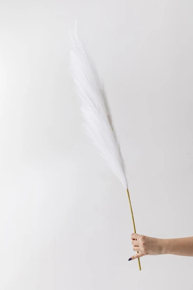 Güleç Yapay Çiçek Yapay Pampas Çiçeği 100 Cm Tek Dal Beyaz - Resim 2