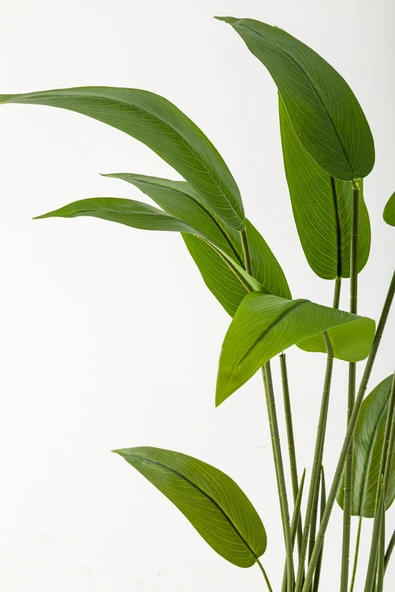 Güleç Yapay Çiçek Yapay Starliçe Ağacı 120 Cm Siyah Gümüş Saksı - 2