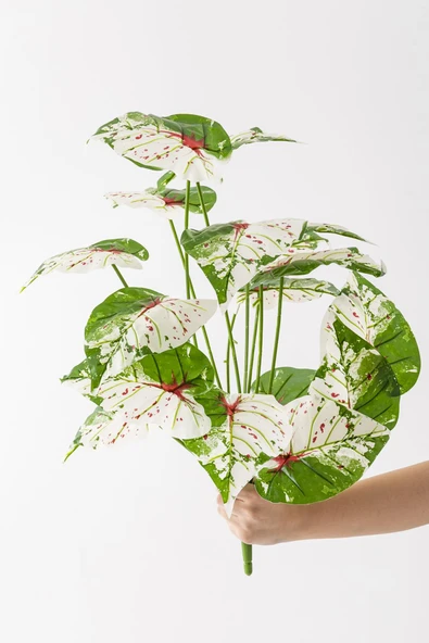 Güleç Yapay Çiçek Yapay Salon Köşe Çiçeği Devetabanı Yeşil Pembe 65 Cm Saksısız