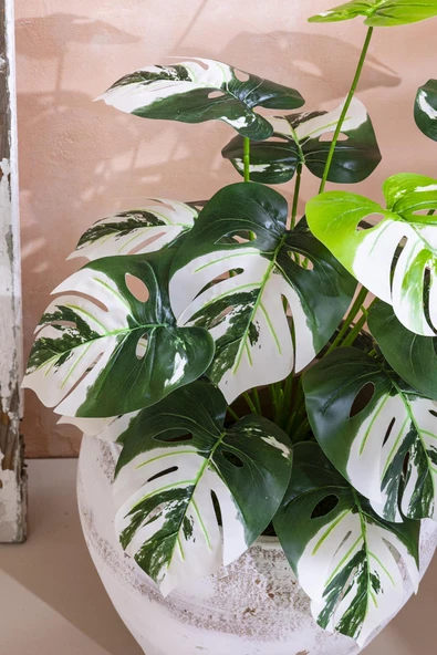 Güleç Yapay Çiçek Yapay Salon Köşe Çiçeği Devetabanı Beyaz 65 Cm Saksısız - Resim 2