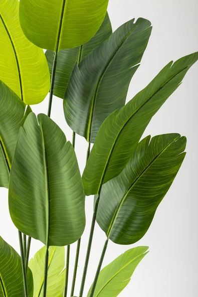 Güleç Yapay Çiçek Yapay Starliçe Ağacı 180 Cm Geniş Yapraklı Gold Metal Saksı - 3