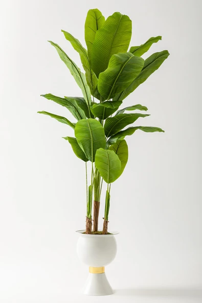 Güleç Yapay Çiçek Yapay Muz Ağacı 220 Cm 20 Yaprak Beyaz Balon Saksı ürün görseli