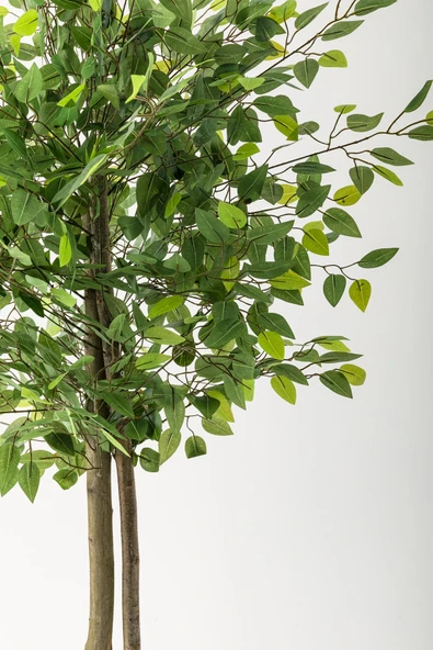 Güleç Yapay Çiçek Yapay Benjamin Ağacı 160 Cm Siyah Gümüş Metal Saksı - Resim 3