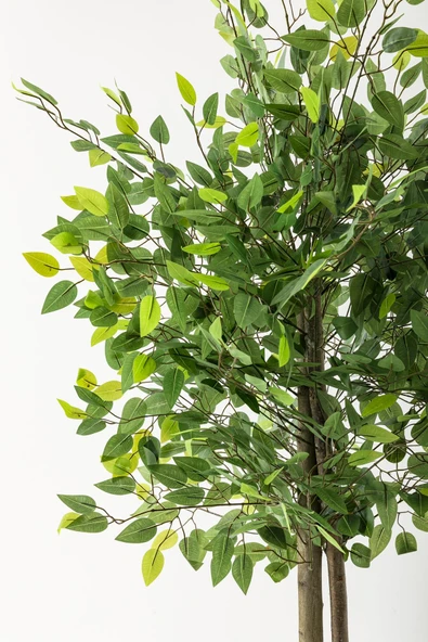 Güleç Yapay Çiçek Yapay Benjamin Ağacı 160 Cm Siyah Gümüş Metal Saksı - Resim 2