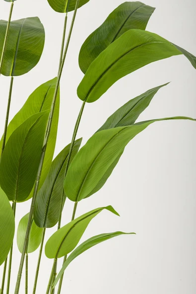 Güleç Yapay Çiçek Yapay Starliçe Ağacı 230 Cm Beyaz Gümüş Damla Saksı - Resim 3