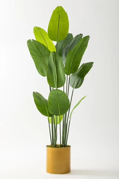 Güleç Yapay Çiçek Yapay Starliçe Ağacı 180 Cm Geniş Yapraklı Gold Metal Saksı