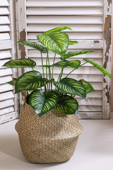 Güleç Yapay Çiçek Yapay Salon Köşe Çiçeği Devetabanı Yeşil Sarı 65 Cm Saksısız - Resim 2