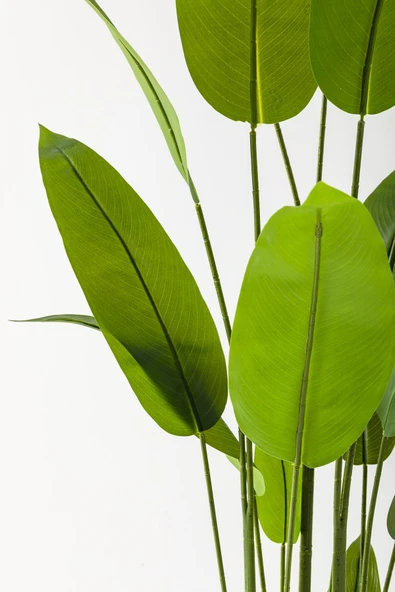 Güleç Yapay Çiçek Yapay Starliçe Ağacı 220 Cm 24 Yaprak Beyaz Balon Saksı - Resim 2