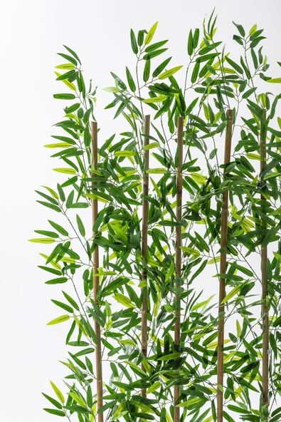 Güleç Yapay Çiçek Yapay Bambu Seperatör 180 Cm Ahşap Kahverengi Saksı - 4