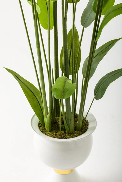 Güleç Yapay Çiçek Yapay Starliçe Ağacı 220 Cm 24 Yaprak Beyaz Balon Saksı - Resim 4