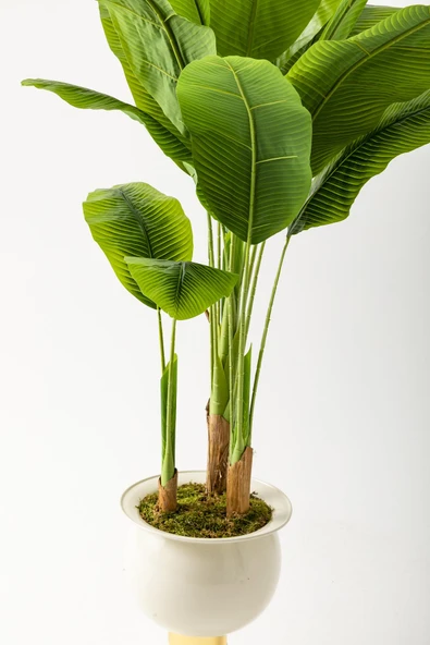 Yapay Muz Ağacı 200 Cm 17 Yaprak Balon Saksı - Resim 9