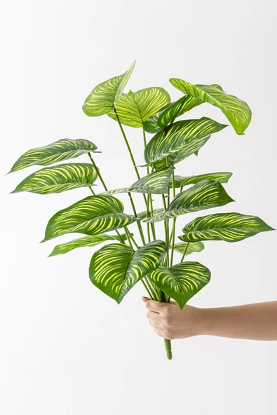 Güleç Yapay Çiçek Yapay Salon Köşe Çiçeği Devetabanı Yeşil Sarı 65 Cm Saksısız - Resim 5