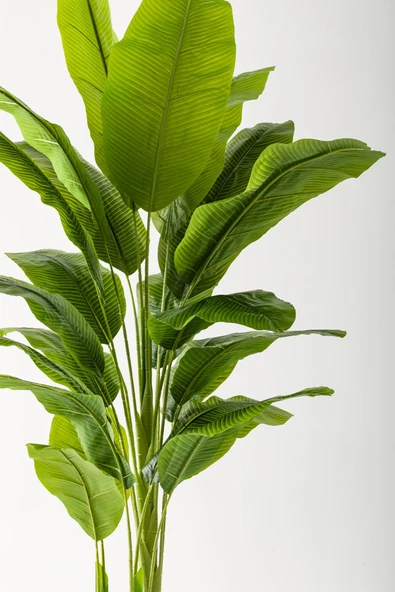 Güleç Yapay Çiçek Yapay Muz Ağacı 220 Cm 20 Yaprak Gold Balon Saksı - Resim 2