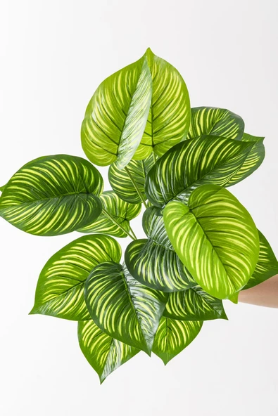 Güleç Yapay Çiçek Yapay Salon Köşe Çiçeği Devetabanı Yeşil Sarı 65 Cm Saksısız - Resim 3