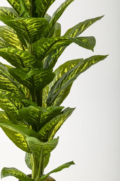 Güleç Yapay Çiçek Yapay Difenbahya Ağacı 160 Cm Gold Saksı - Resim 3