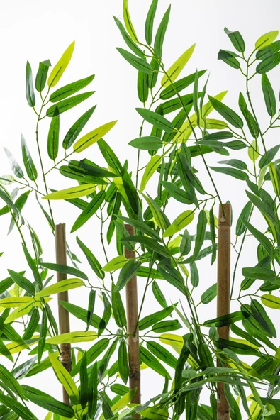 Güleç Yapay Çiçek Yapay Bambu Seperatör 180 Cm Ahşap Kahverengi Saksı - 5