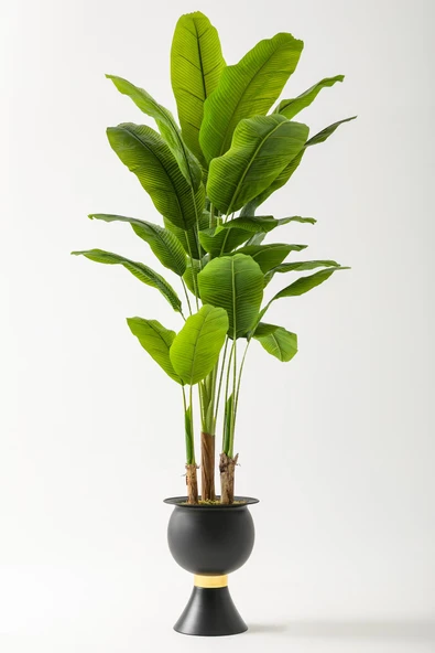 Güleç Yapay Çiçek Yapay Muz Ağacı 220 Cm 20 Yaprak Siyah Balon Saksı ürün görseli 1