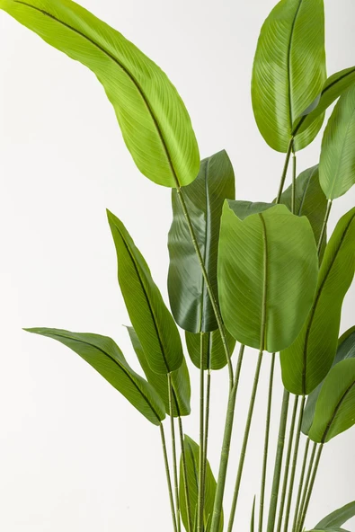 Güleç Yapay Çiçek Yapay Starliçe Ağacı 230 Cm Krem Gold Damla Saksı - Resim 3