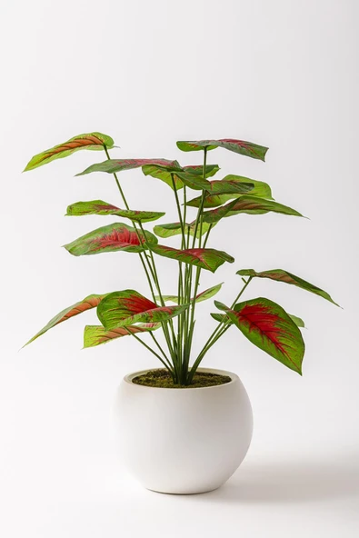 Güleç Yapay Çiçek Yapay Salon Köşe Çiçeği Devetabanı Kırmızı 65 Cm Küre Saksı ürün görseli